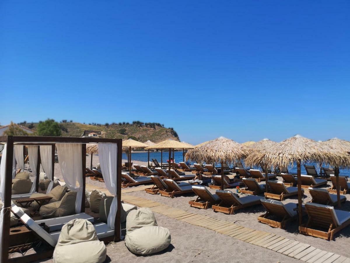 Aparthotel The Coast Anaxos Zewnętrze zdjęcie